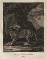 KG 01074
          <br/>
          Entwurf einiger Thiere. Zweyter Theil. (20 bladen)
          <br/>
          <em>Ridinger, Johann Elias (1698-1767)</em>